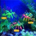 ADORNO DRAGON DE MAR FLUOR MOVIL